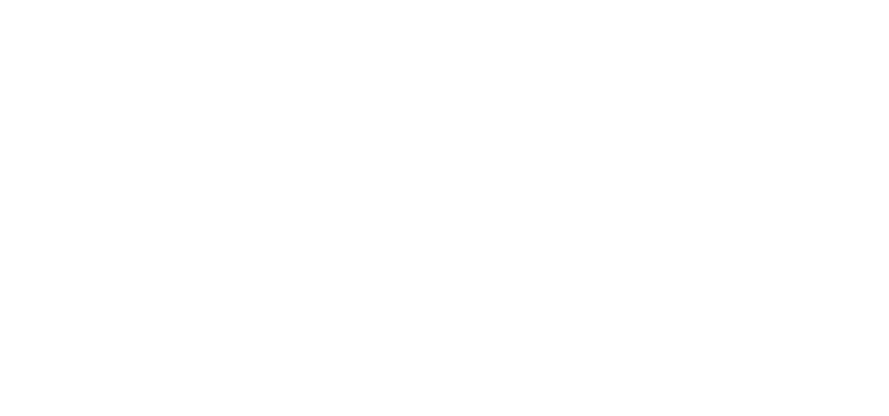FuegoProject